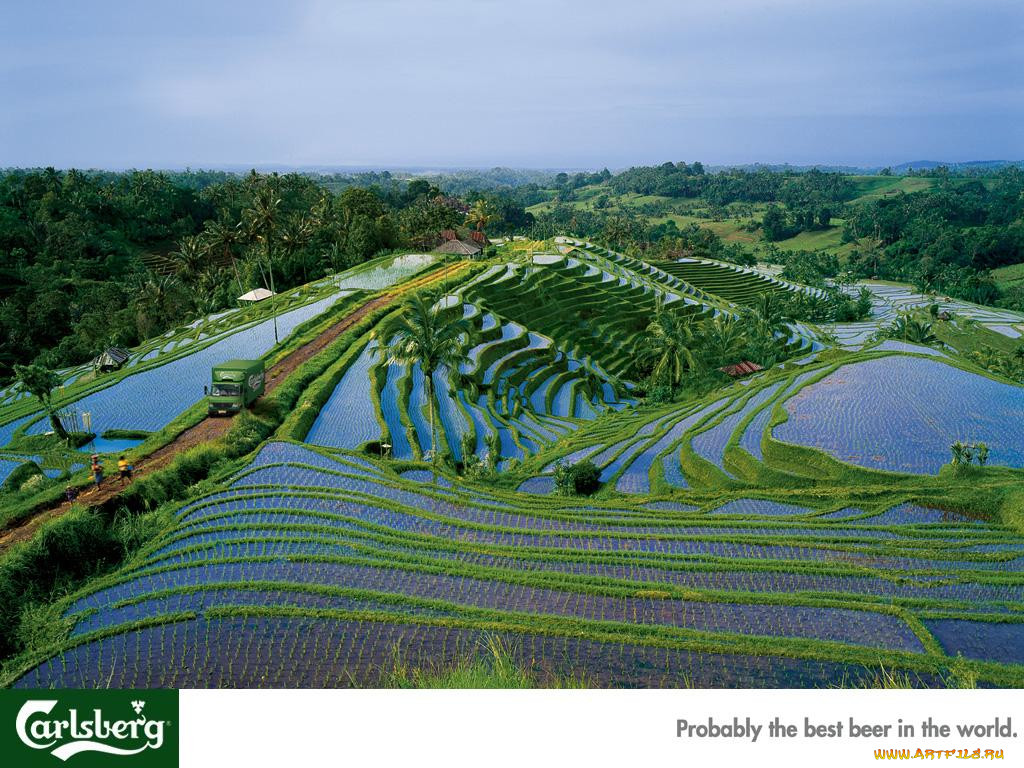 , carlsberg